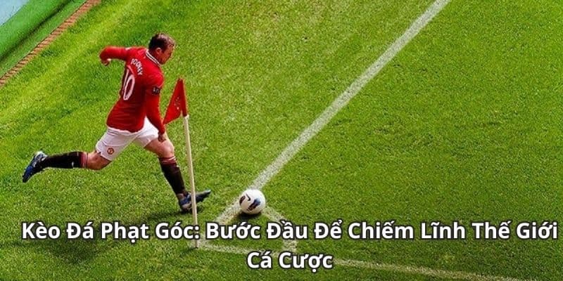 Chiến Lược Cá Cược Kèo Phạt Góc Hiệu Quả