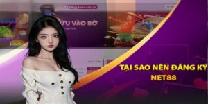 Tại Sao Nên Đăng Ký Net88
